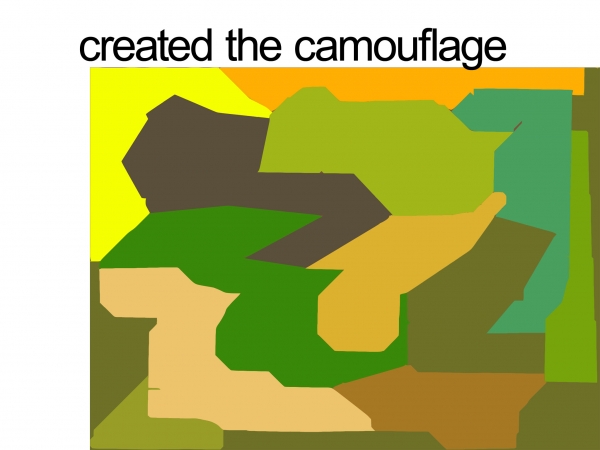 Creation of Camouflaged: Step 3